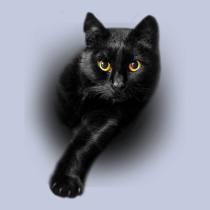 Black Cat Yellow Eyescats Tee Shirt Gifts Long Sleeve Tee by trangStudio | Teevron