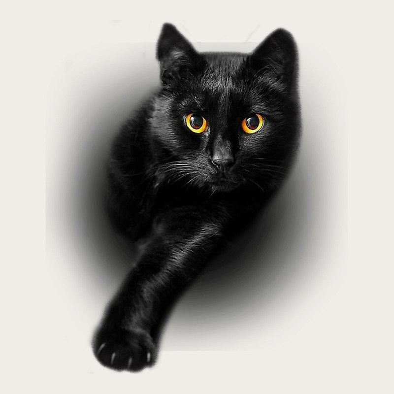Black Cat Yellow Eyescats Tee Shirt Gifts Zipper Hoodie by trangStudio | Teevron