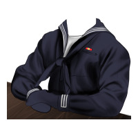 retriever sailor 2 | Teevron