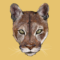 Florida Panther  Face Premium Sweatshirt | Teevron