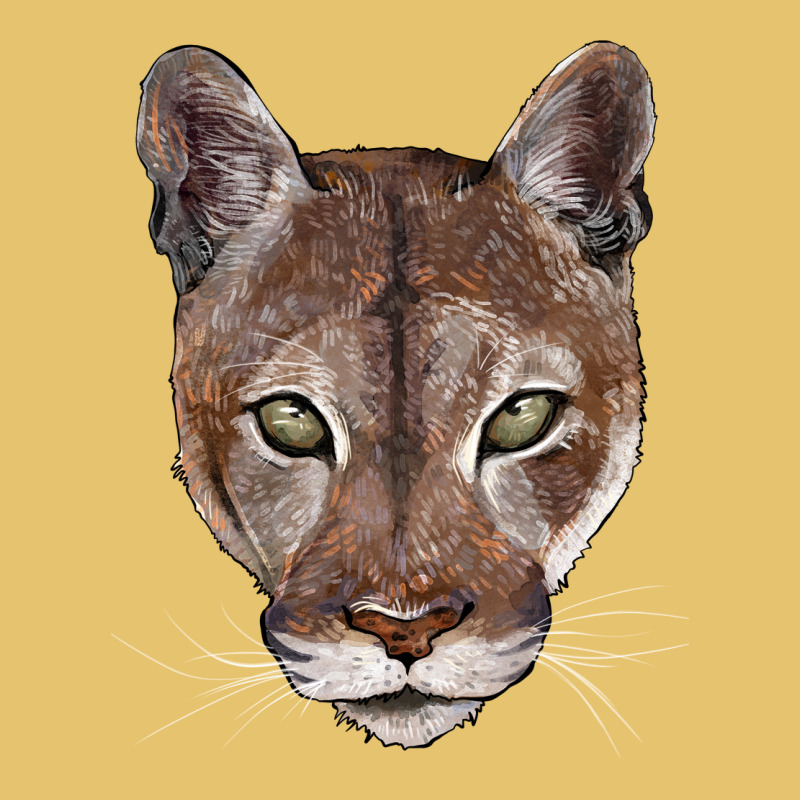 Florida Panther  Face Premium Sweatshirt by BarkalooDesign | Teevron