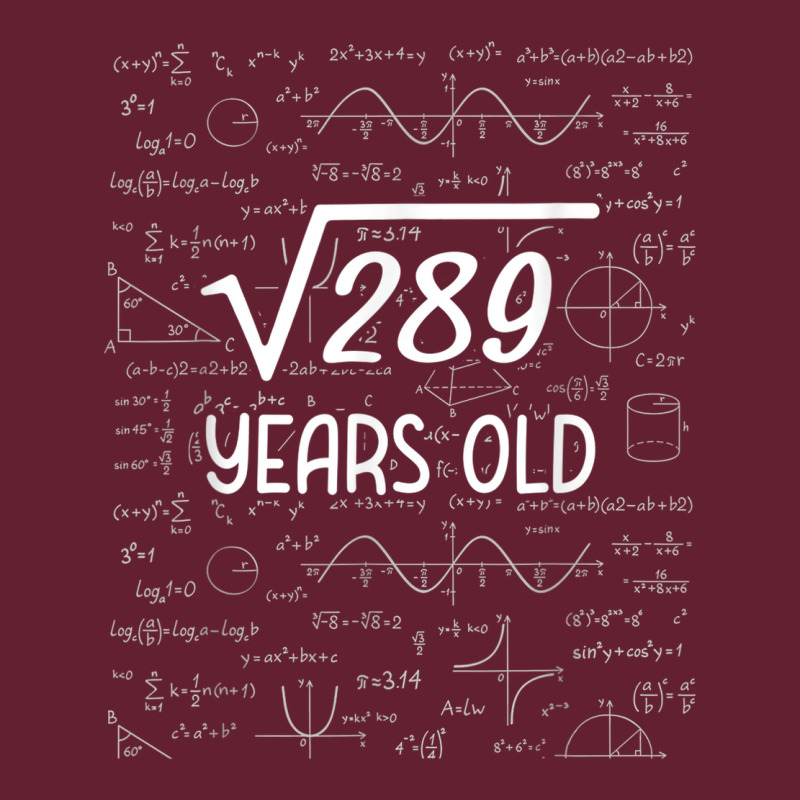 17 Year Old Gift Boys Girls Funny 17th Birthday Gifts Math Classic Tee by trangStudio | Teevron