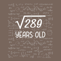 17 Year Old Gift Boys Girls Funny 17th Birthday Gifts Math Premium Hoodie | Teevron