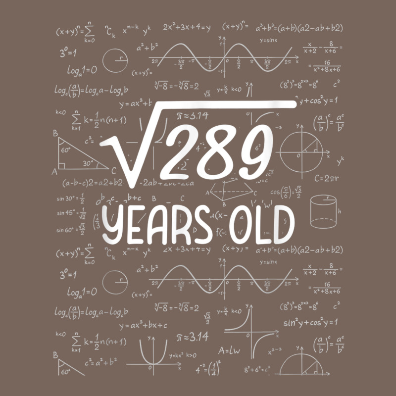 17 Year Old Gift Boys Girls Funny 17th Birthday Gifts Math Premium Hoodie by trangStudio | Teevron