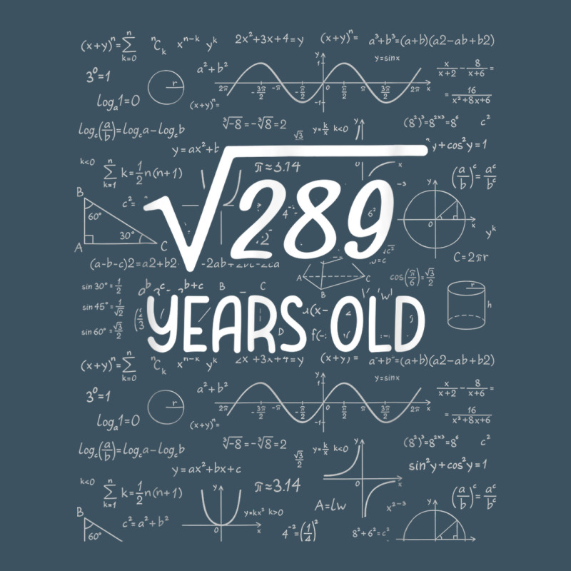 17 Year Old Gift Boys Girls Funny 17th Birthday Gifts Math Urban Heavy Tee by trangStudio | Teevron