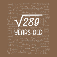 17 Year Old Gift Boys Girls Funny 17th Birthday Gifts Math Premium Tee | Teevron