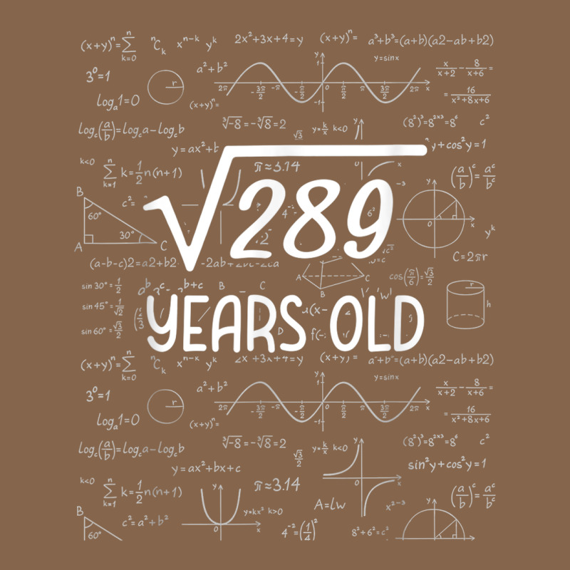 17 Year Old Gift Boys Girls Funny 17th Birthday Gifts Math Premium Tee by trangStudio | Teevron