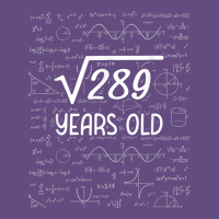 17 Year Old Gift Boys Girls Funny 17th Birthday Gifts Math Vintage Hoodie | Teevron