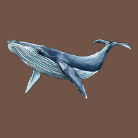 Humpback Whale Premium Sweatshirt | Teevron