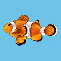 Clown Fish Side Premium Sweatshirt | Teevron