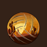 Desert Cactus Sunset Volleyball Heavy Core Tee | Teevron