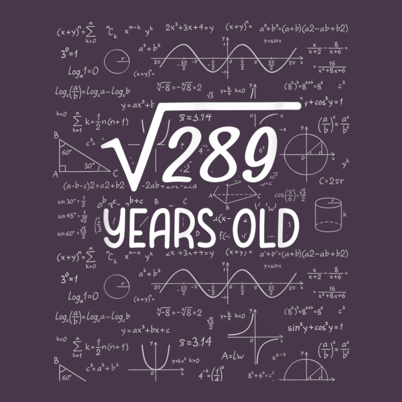 17 Year Old Gift Boys Girls Funny 17th Birthday Gifts Math Heavyweight Hoodie by trangStudio | Teevron