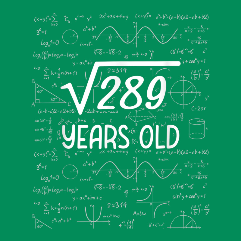 17 Year Old Gift Boys Girls Funny 17th Birthday Gifts Math Urban Hoodie by trangStudio | Teevron