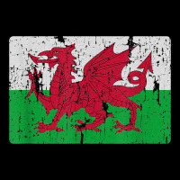 Vintage Welsh Flag Of Wales Dragon Souvenir Gift Men Women Heavyweight Sweatshirt | Teevron