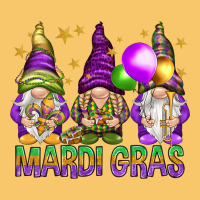 Mardi Gras With Gnomies Vintage Hoodie | Teevron