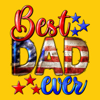 Best Dad Ever 4th Of July Premium Hoodie | Teevron