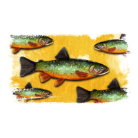 Colorado Greenback Cutthroat Trout Fish | Teevron