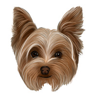 yorkie | Teevron