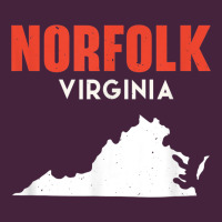 Norfolk Virginia Usa State America Travel Virginian Classic Tee | Teevron
