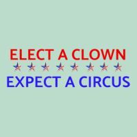 Elect A Clown Expect A Circus Political Premium Hoodie | Teevron