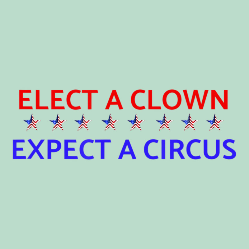 Elect A Clown Expect A Circus Political Premium Hoodie by trangStudio | Teevron