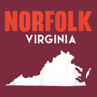 Norfolk Virginia Usa State America Travel Virginian Premium Hoodie | Teevron