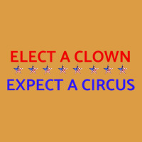 Elect A Clown Expect A Circus Political Urban Heavy Tee | Teevron