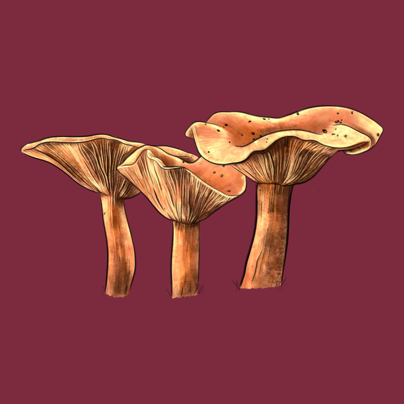 Lactarius Rufus Mushroom Illustrations Premium Hoodie by LillyAllenDesigns | Teevron
