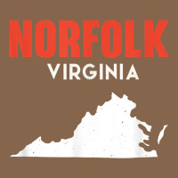 Norfolk Virginia Usa State America Travel Virginian Premium Tee | Teevron
