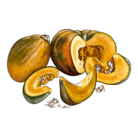 Pumpkin | Teevron
