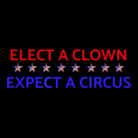 Elect A Clown Expect A Circus Political Premium Sweatshirt | Teevron