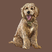 Goldendoodle Premium Sweatshirt | Teevron