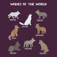 Wolves Of The World Educational Wolf Gift Classic Tee | Teevron