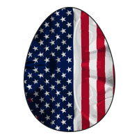 AMERICAN FLAG | Teevron