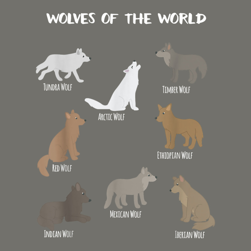 Wolves Of The World Educational Wolf Gift Premium Hoodie by trangStudio | Teevron