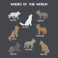 Wolves Of The World Educational Wolf Gift Long Sleeve Tee | Teevron
