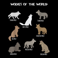 Wolves Of The World Educational Wolf Gift Premium Sweatshirt | Teevron
