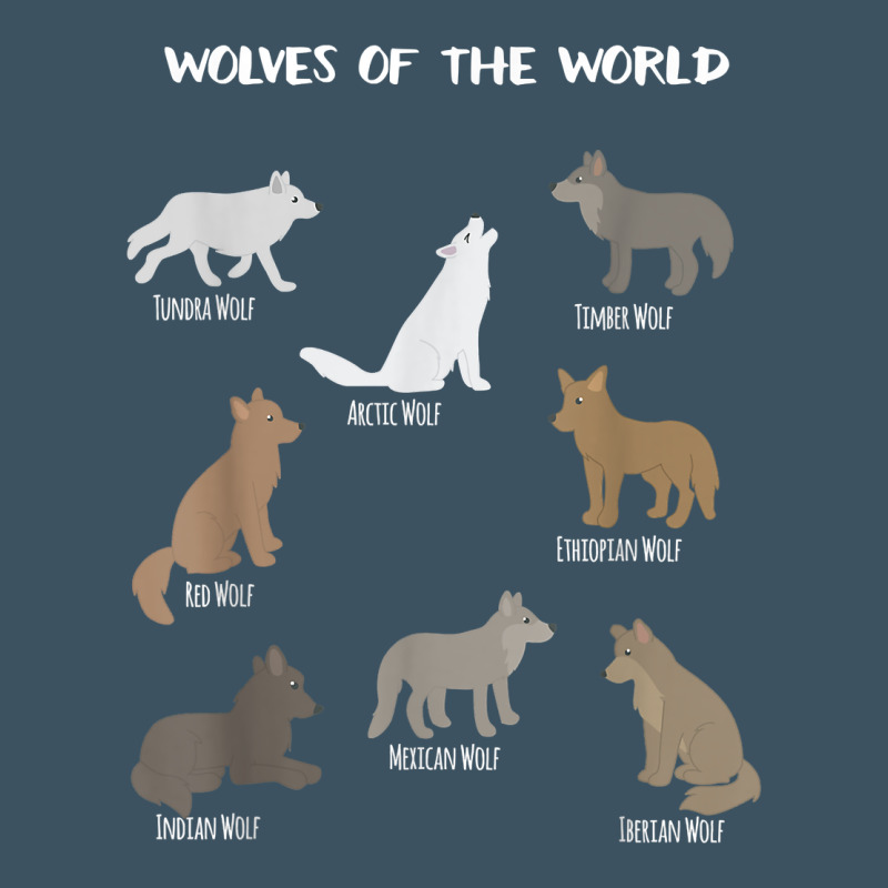 Wolves Of The World Educational Wolf Gift Urban Hoodie by trangStudio | Teevron