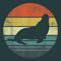 Seal Lover Gifts Retro Vintage Sea Lion Animal Silhouette Premium Hoodie | Teevron
