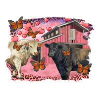 Valentine's day barn and black angus with charolais | Teevron