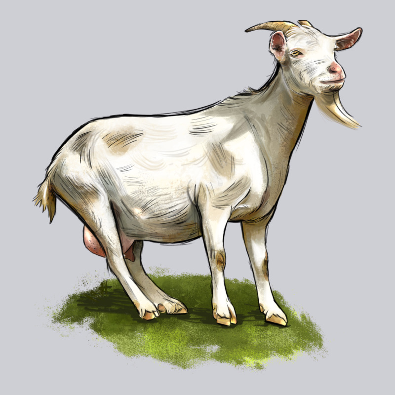 Cashmere Goat Heavyweight Sweatshirt by LillyAllenDesigns | Teevron