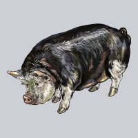 Poland China Pig Heavyweight Sweatshirt | Teevron