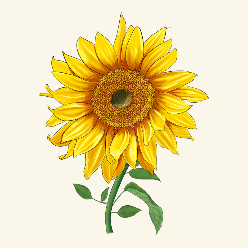 Bambino Sunflower Premium Hoodie by LillyAllenDesigns | Teevron