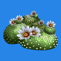 Blossfeldia Cactus Premium Hoodie | Teevron