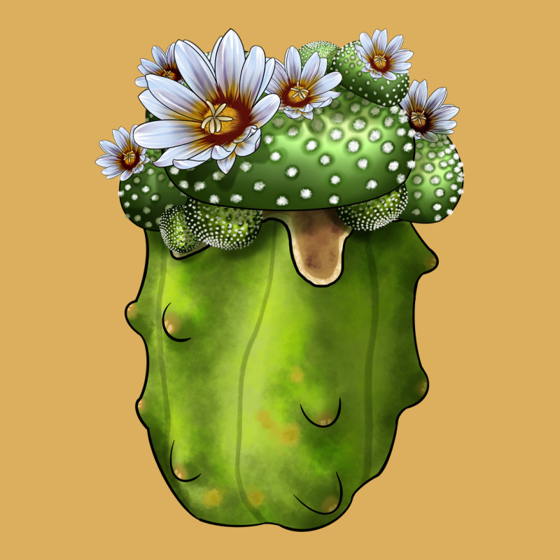 Blossfeldia Cactus Premium Hoodie by LillyAllenDesigns | Teevron