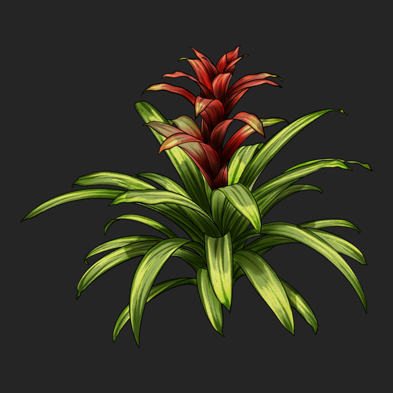 Bromeliads Premium Hoodie by LillyAllenDesigns | Teevron