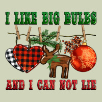 I Like Big Bulbs And I Can Not Lie Heavyweight Hoodie | Teevron