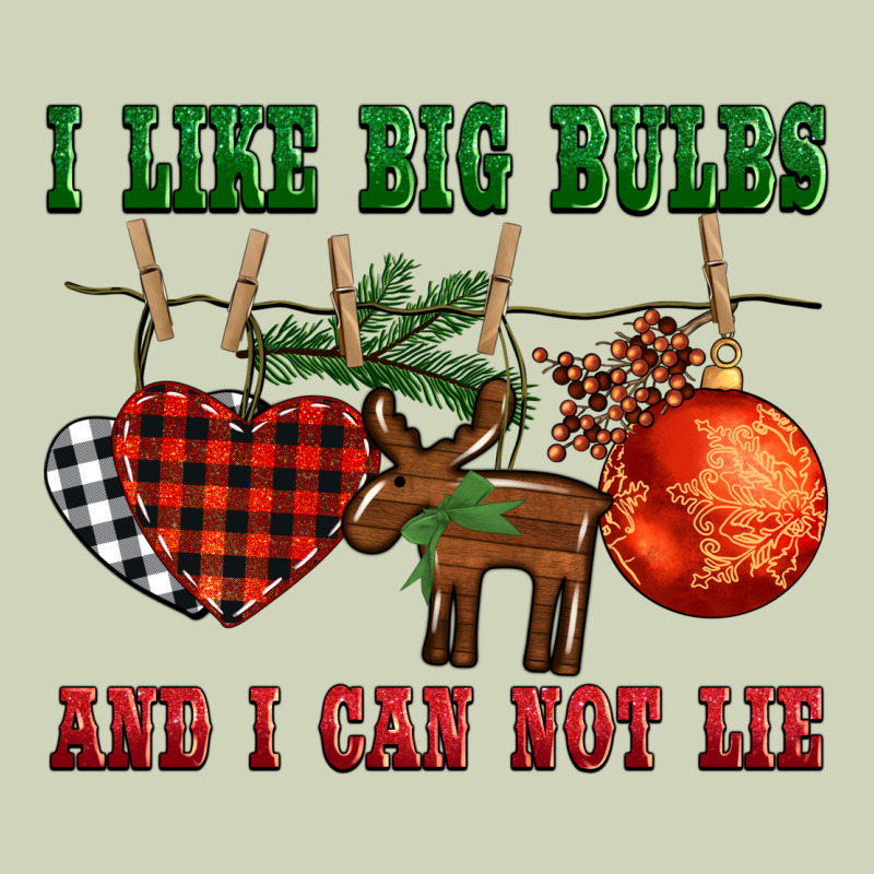 I Like Big Bulbs And I Can Not Lie Heavyweight Hoodie by BarkalooDesign | Teevron
