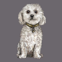 Bichon Frise Dog Premium Sweatshirt | Teevron