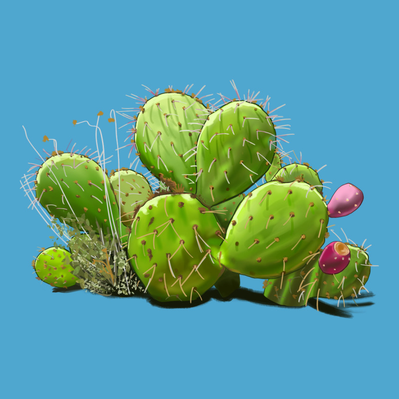 Desert Prickly Pear Cactus Premium Hoodie by LillyAllenDesigns | Teevron
